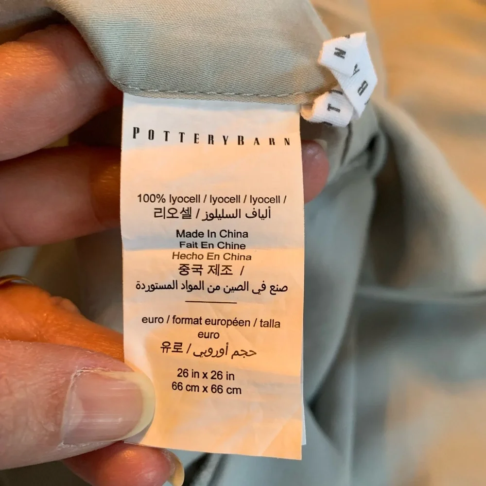 Pottery Barn Euro sham